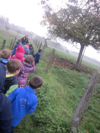 Uitstap naar het Neigembos.