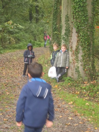 Uitstap naar het Neigembos.