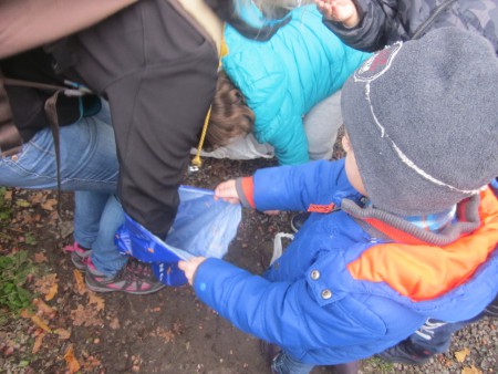 Uitstap naar het Neigembos.