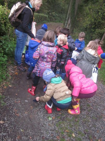 Uitstap naar het Neigembos.