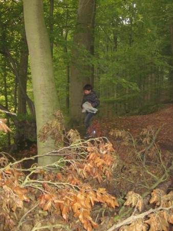 Uitstap naar het Neigembos.