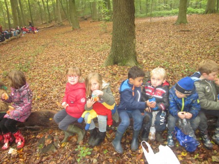 Uitstap naar het Neigembos.