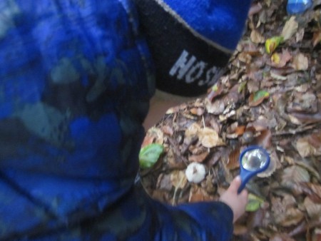 Uitstap naar het Neigembos.